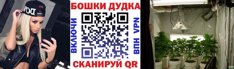 Купить закладки  Верхний Тагил  Шишки марихуана сатива 